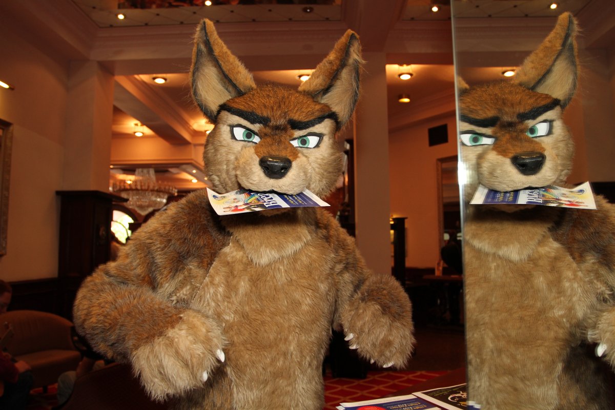 ConFuzzled 2010