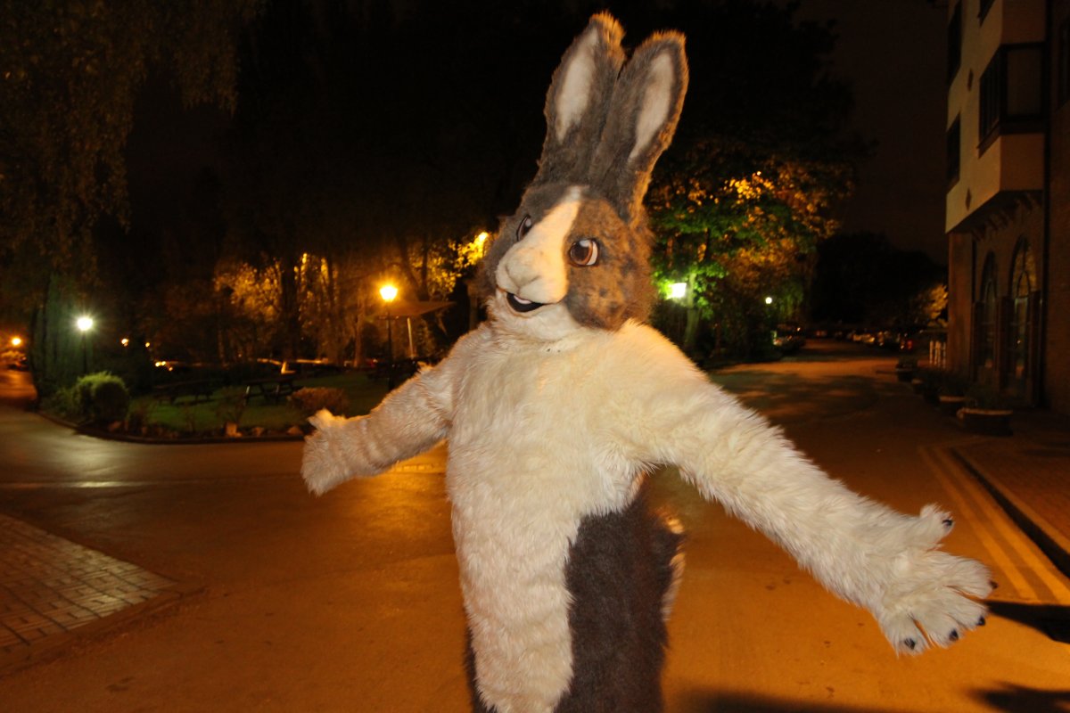 ConFuzzled 2010, Fursuiters