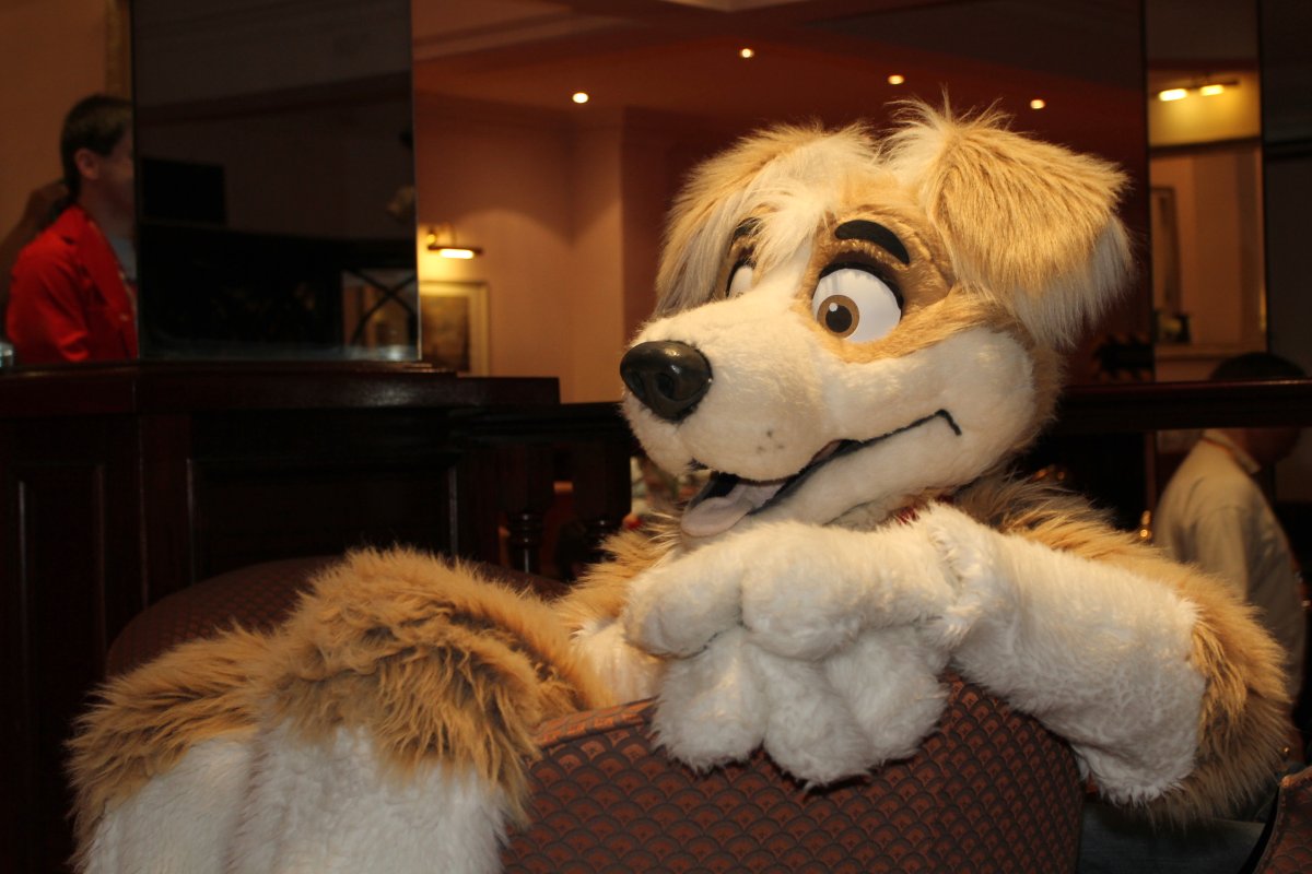ConFuzzled 2010, Fursuiters
