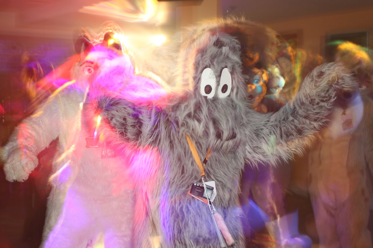 ConFuzzled 2010