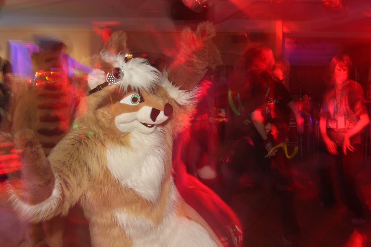 ConFuzzled 2010