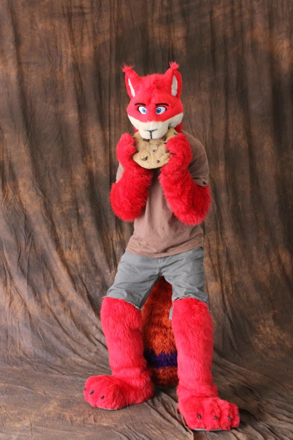 ConFuzzled 2010, Photoshoot