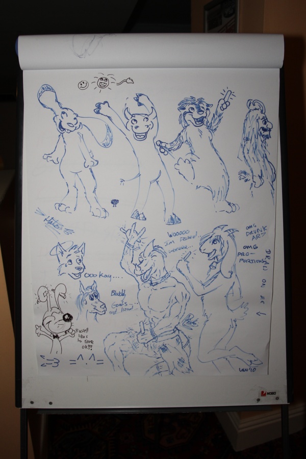 ConFuzzled 2010, Other photos