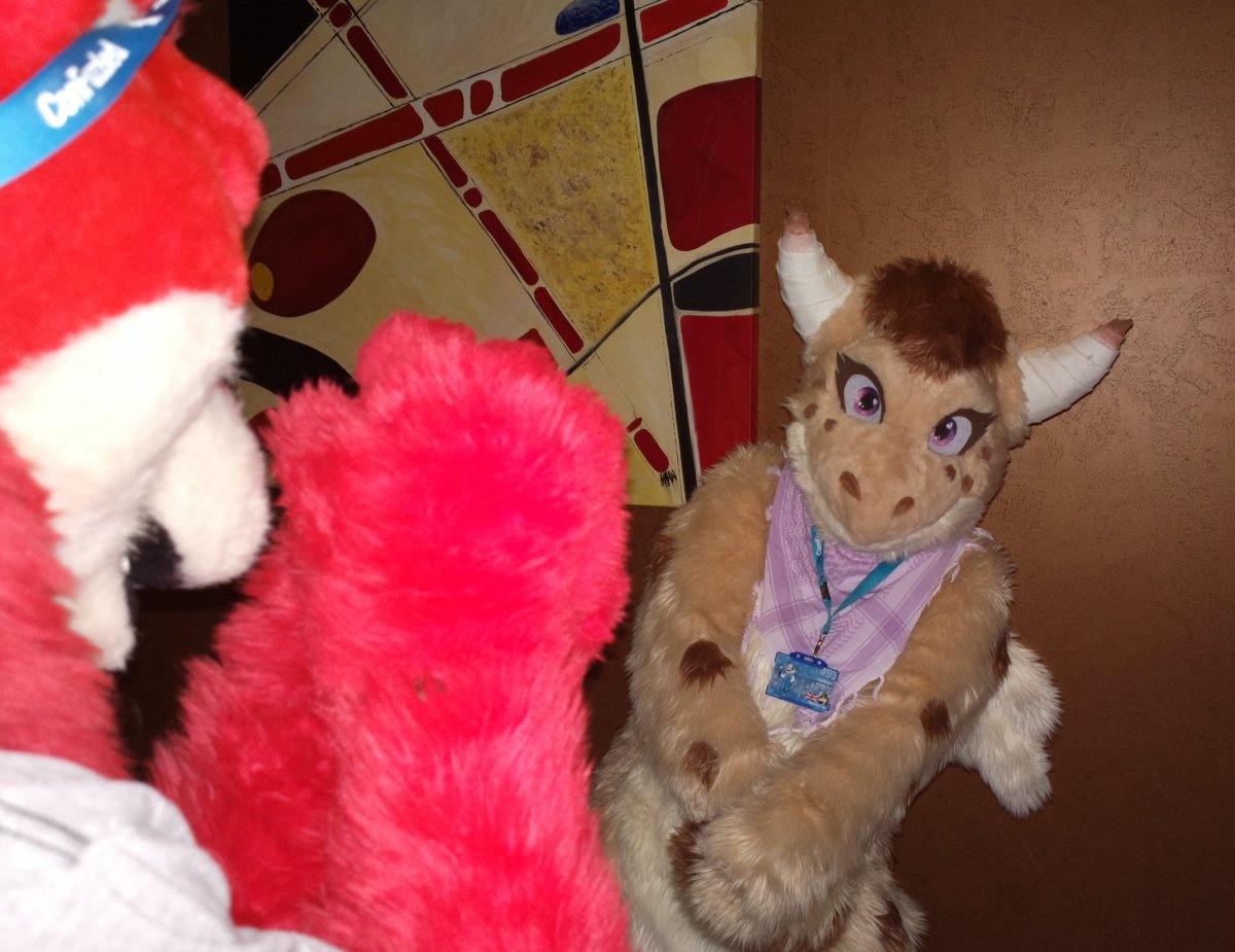 ConFuzzled 2013, More fuirsuiters