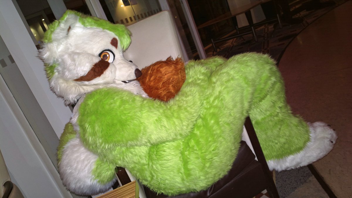 ConFuzzled 2013, Fursuiters