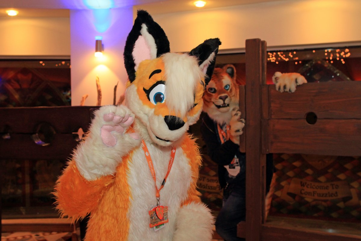 ConFuzzled 2013