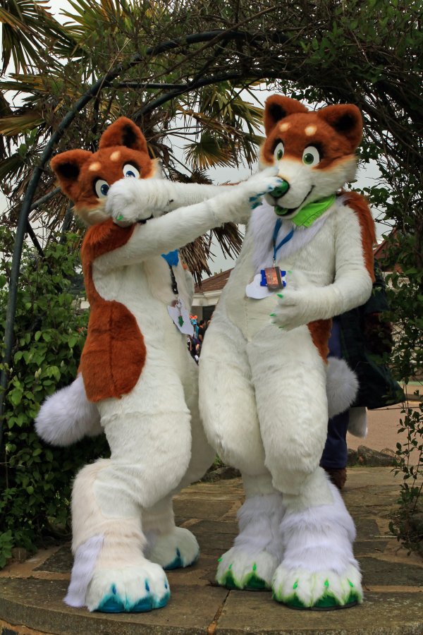 ConFuzzled 2013