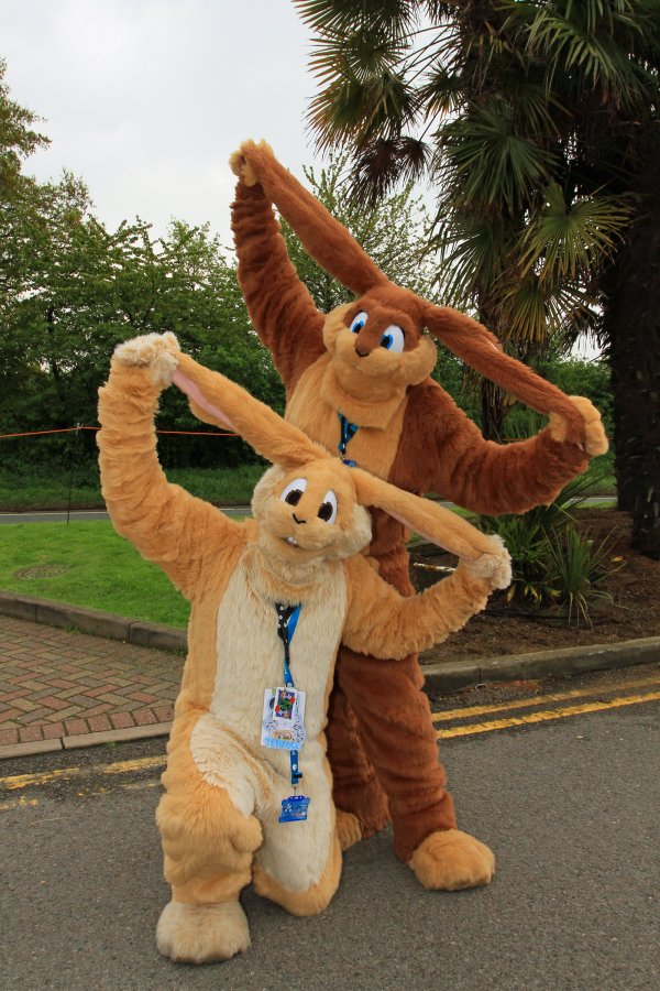 ConFuzzled 2013, More fuirsuiters