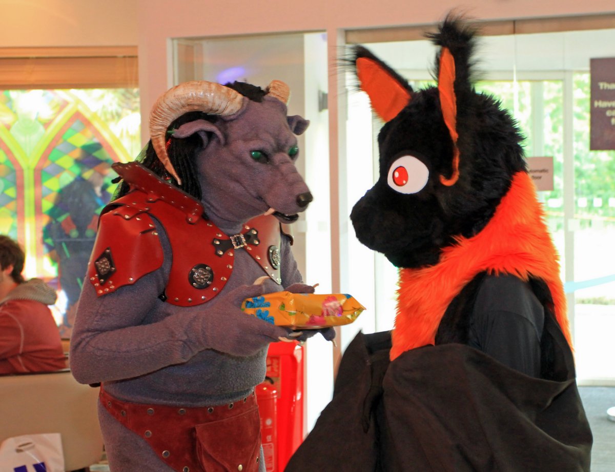 ConFuzzled 2013, More fuirsuiters