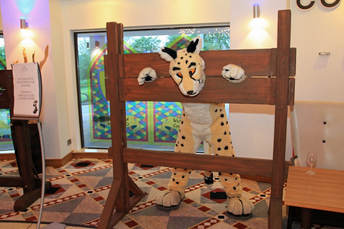 ConFuzzled 2013, Fursuiters
