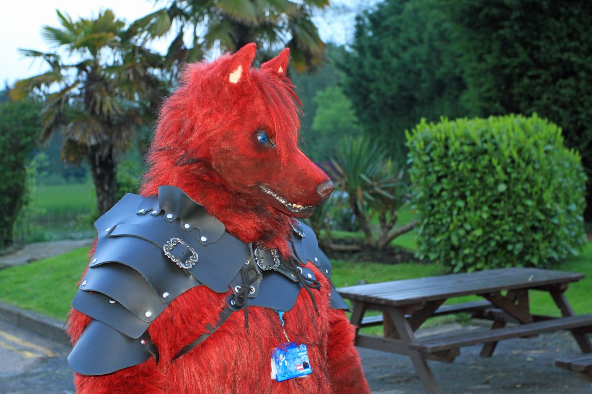 ConFuzzled 2013