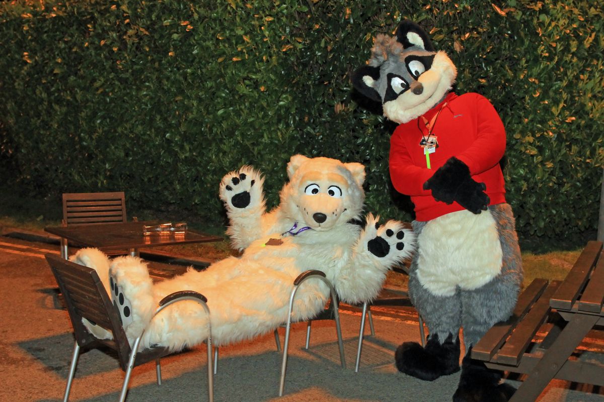 ConFuzzled 2013, More fuirsuiters