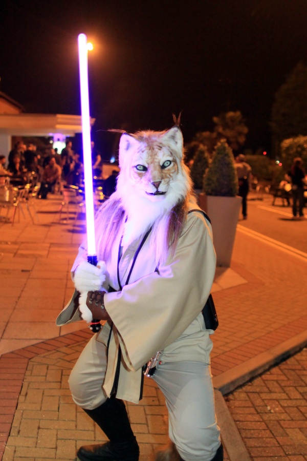 ConFuzzled 2013, Lights and colours