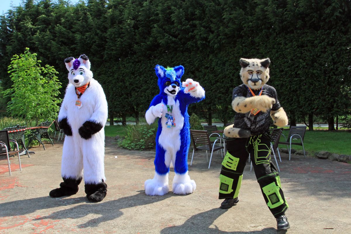 ConFuzzled 2013, More fuirsuiters