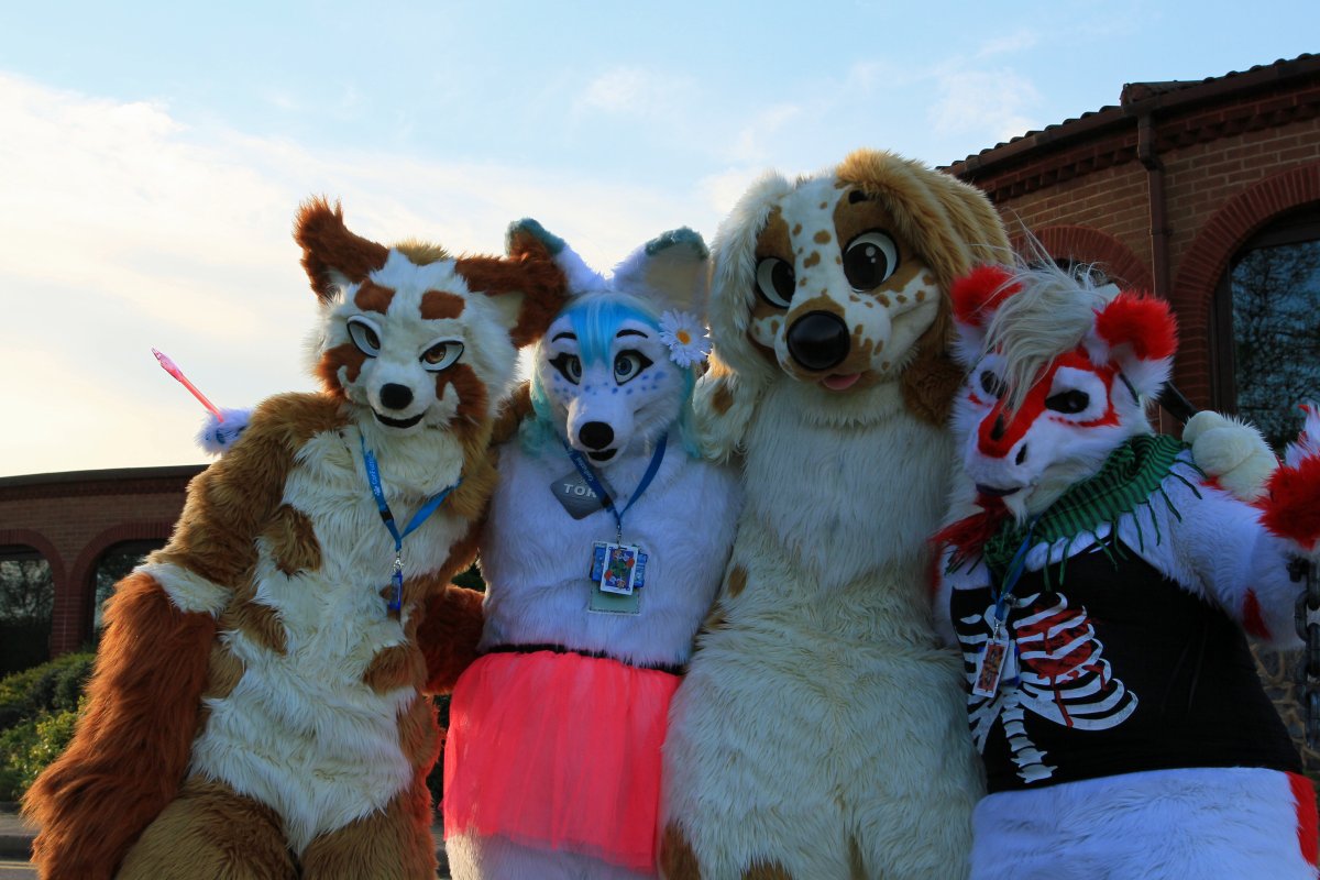 ConFuzzled 2013