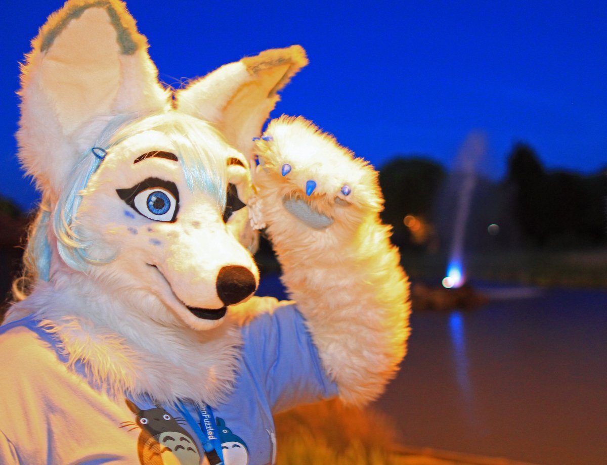 ConFuzzled 2013