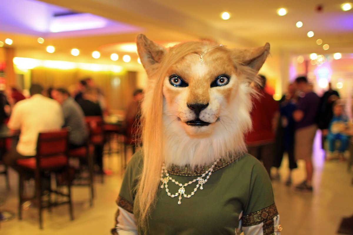 ConFuzzled 2013