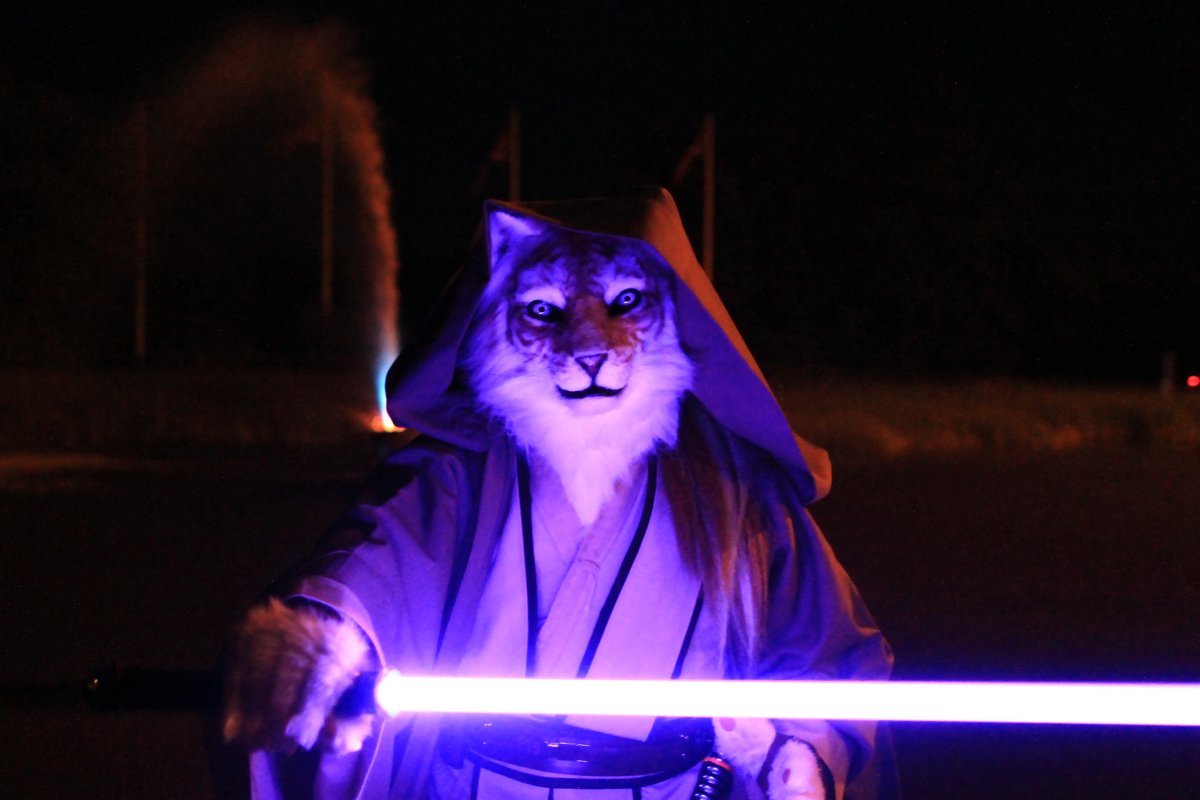 ConFuzzled 2013