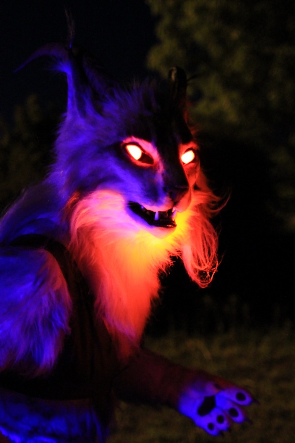 ConFuzzled 2013, Lights and colours
