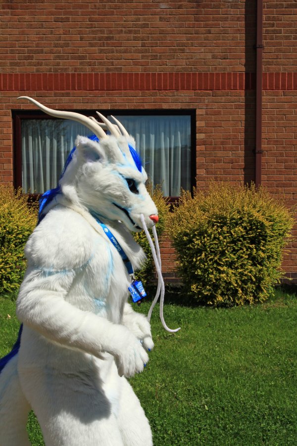 ConFuzzled 2013, Fursuiters
