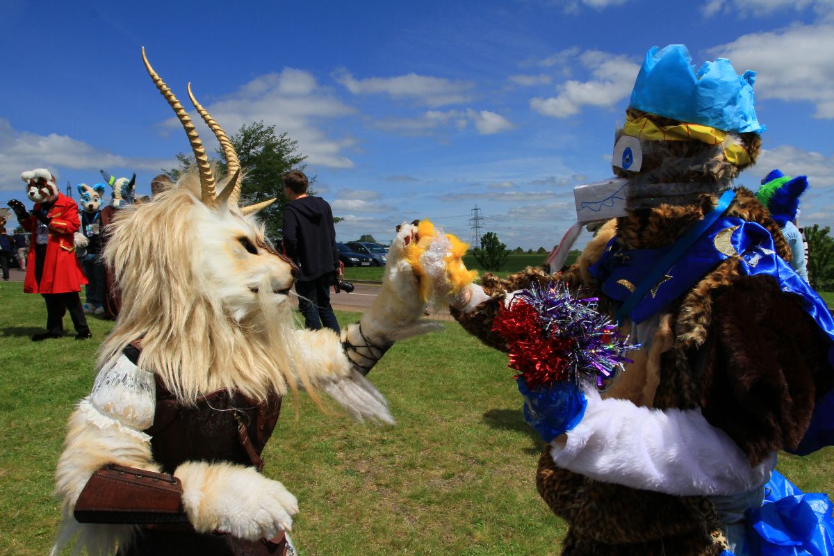 ConFuzzled 2013, More fuirsuiters