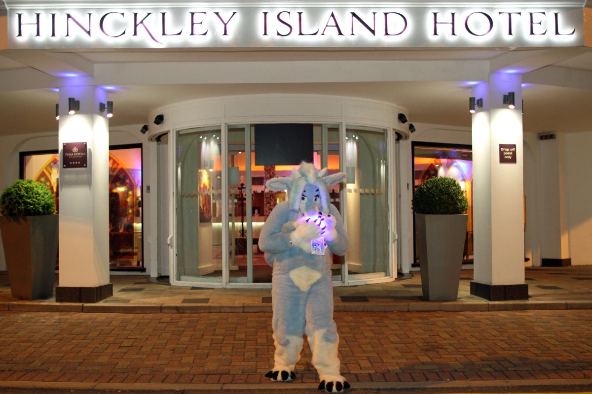 ConFuzzled 2013, Lights and colours