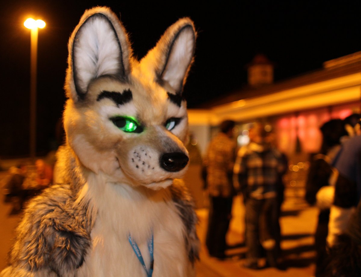 ConFuzzled 2013
