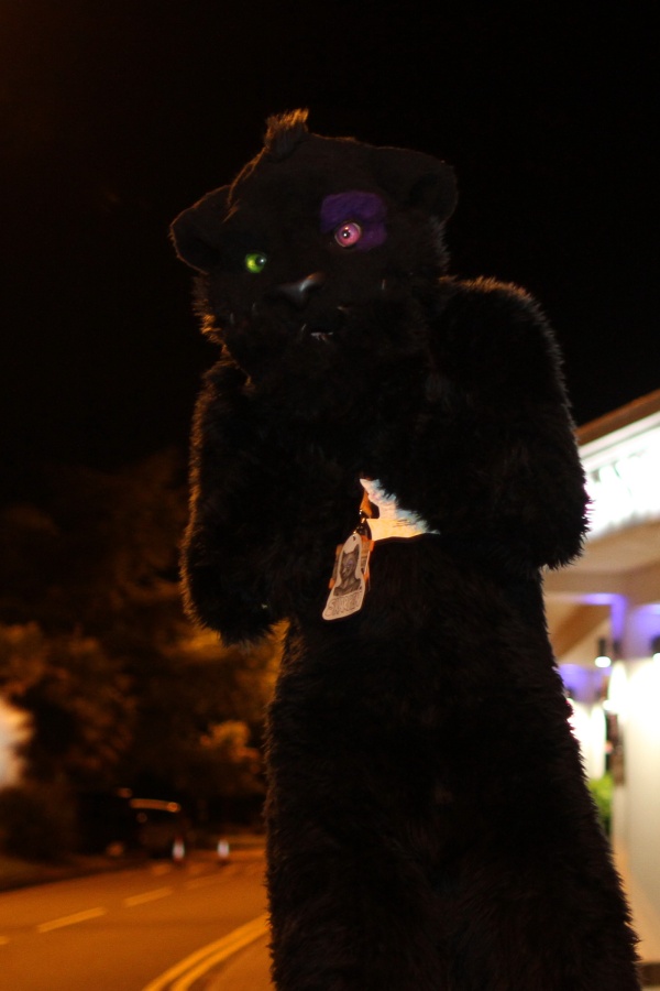 ConFuzzled 2013, Fursuiters