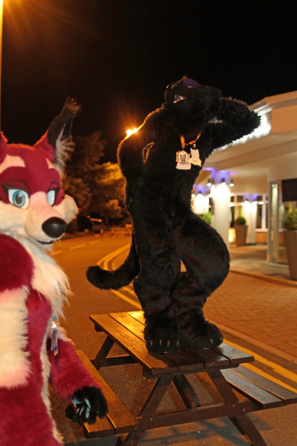 ConFuzzled 2013, More fuirsuiters