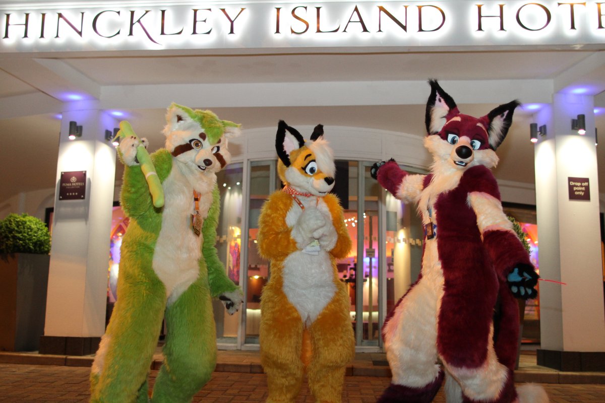 ConFuzzled 2013, More fuirsuiters