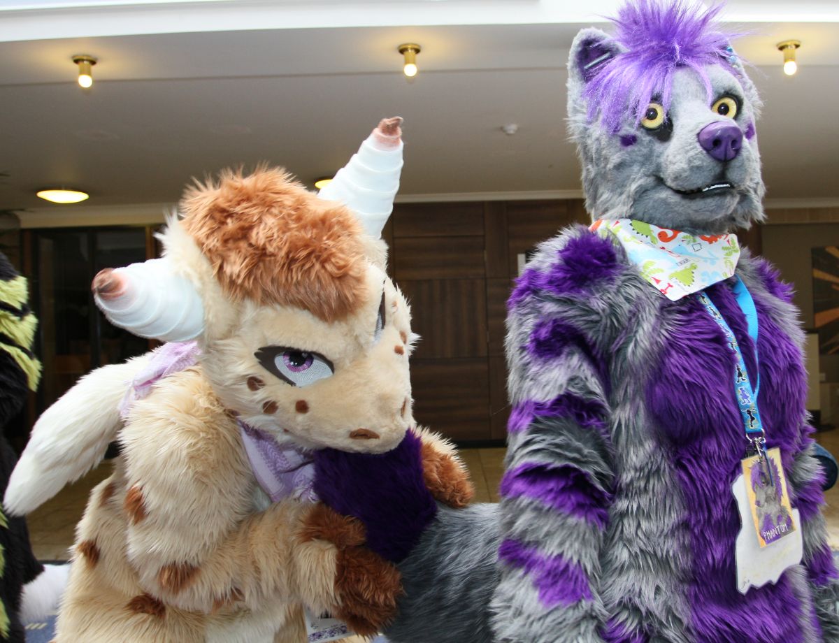 ConFuzzled 2013, More fuirsuiters