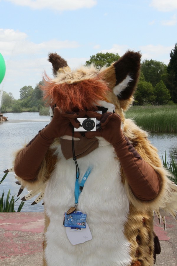 ConFuzzled 2013