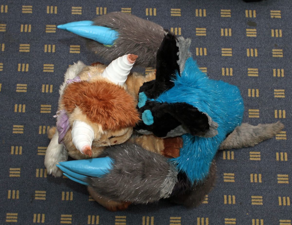 ConFuzzled 2013, More fuirsuiters