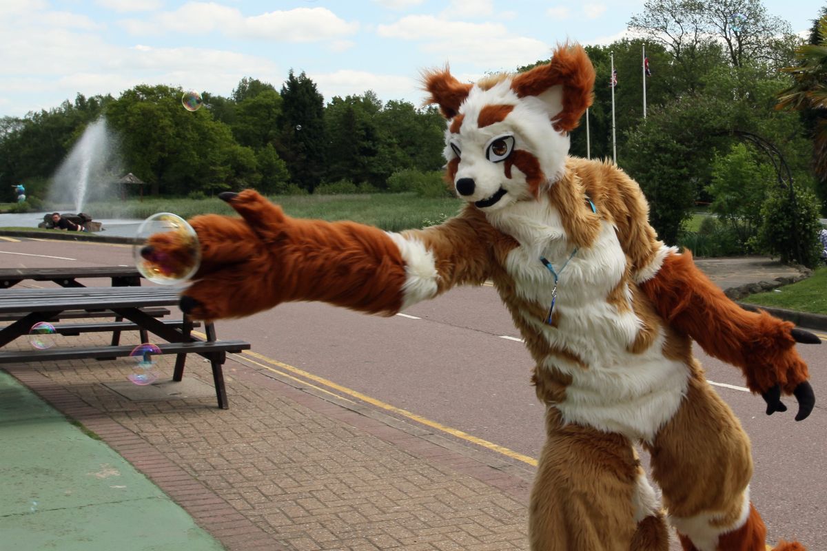 ConFuzzled 2013