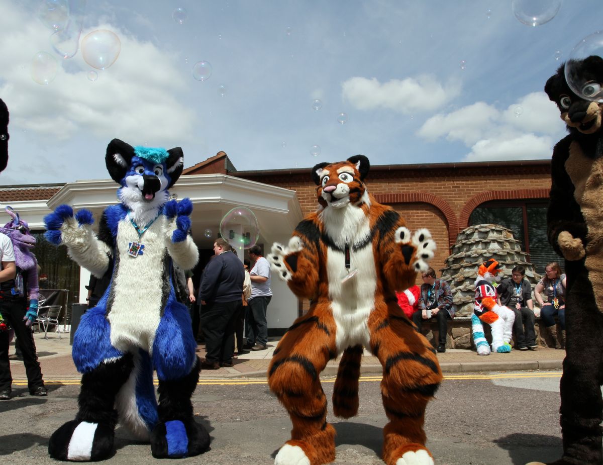 ConFuzzled 2013, More fuirsuiters