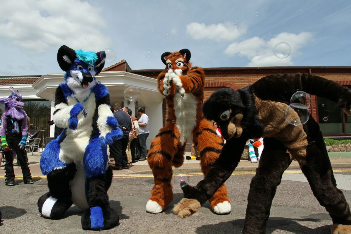 ConFuzzled 2013, More fuirsuiters