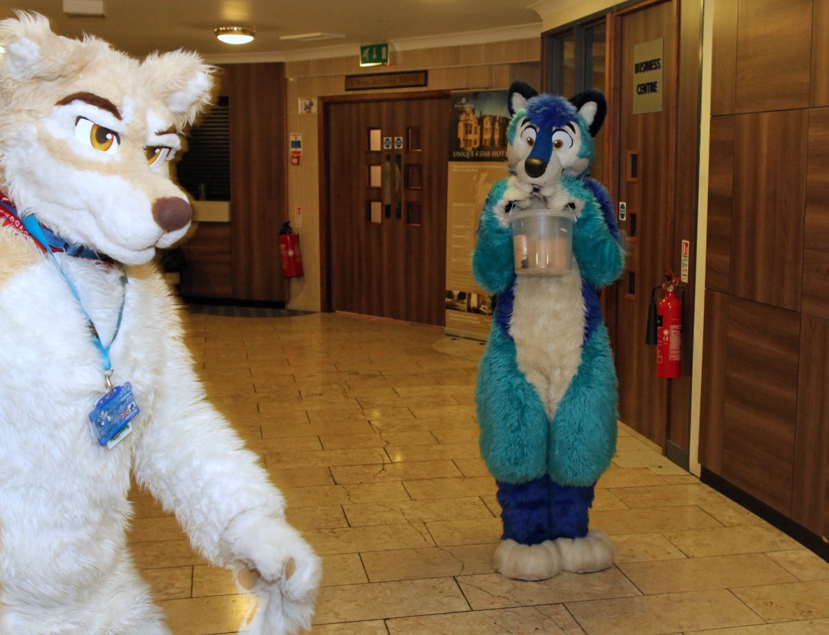 ConFuzzled 2013, More fuirsuiters