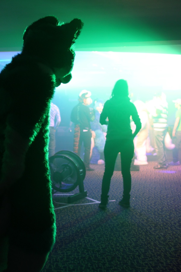 ConFuzzled 2013, Lights and colours