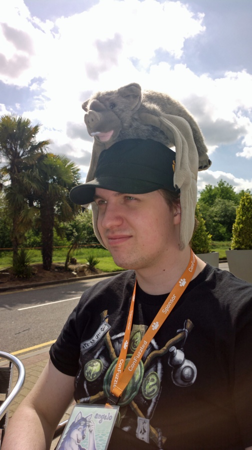 ConFuzzled 2013, Other photos