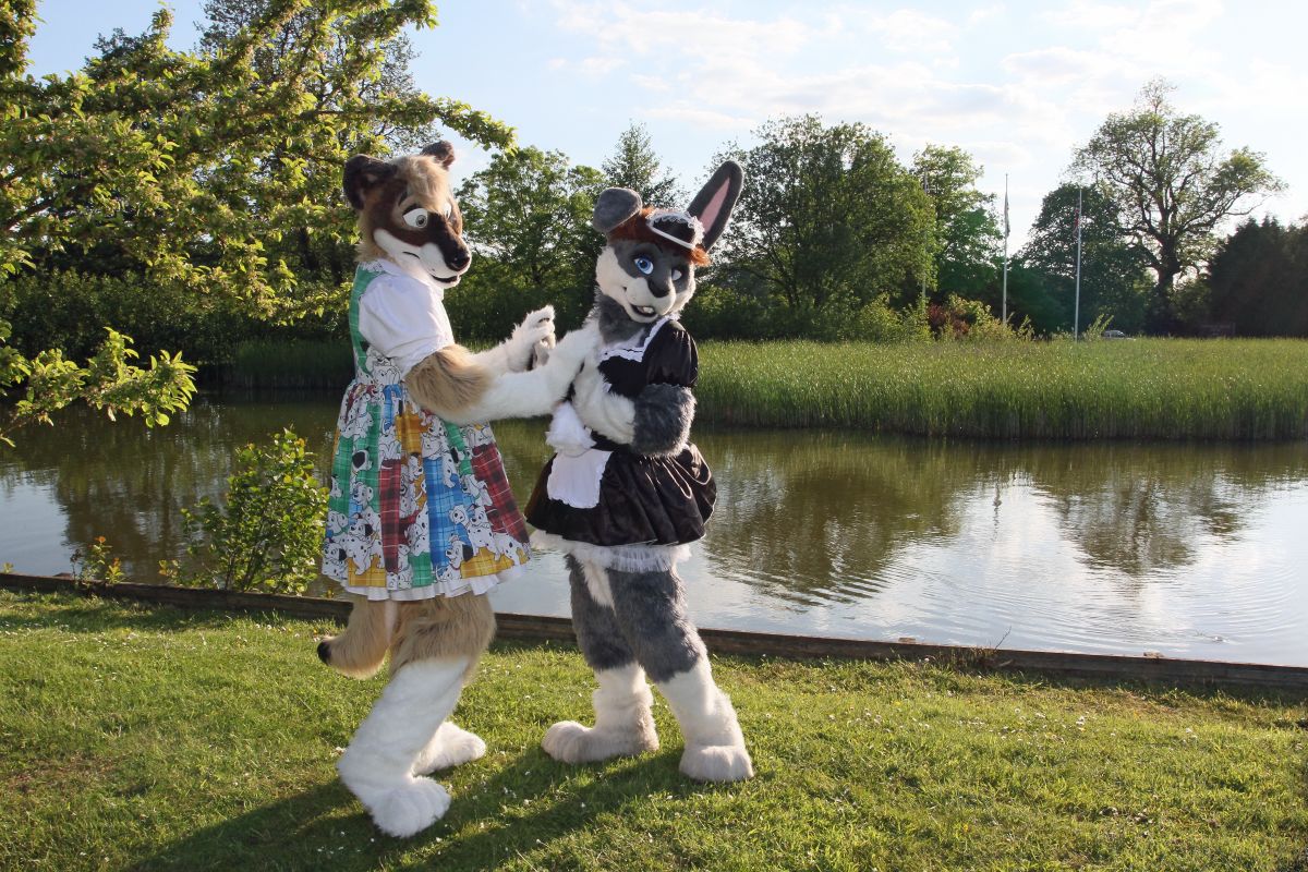 ConFuzzled 2013