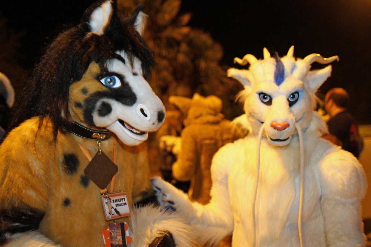 ConFuzzled 2013, More fuirsuiters