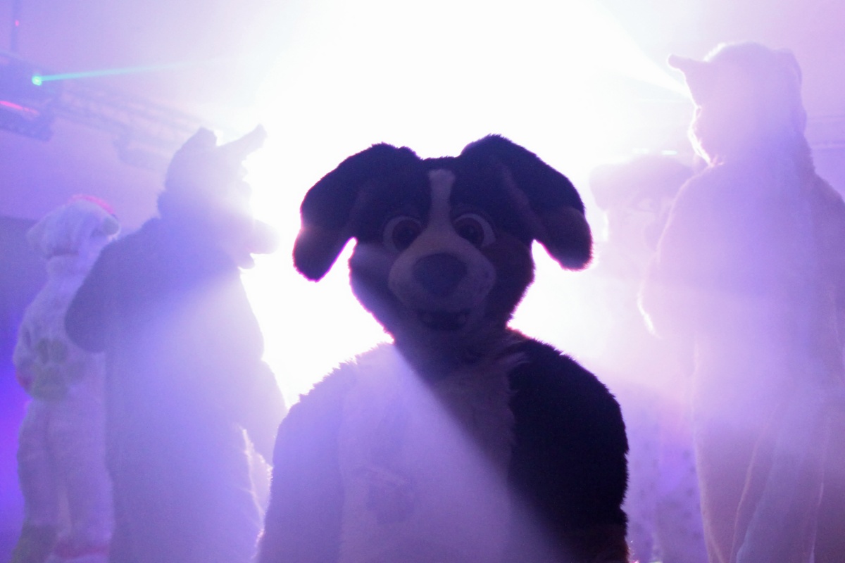 ConFuzzled 2013, Lights and colours