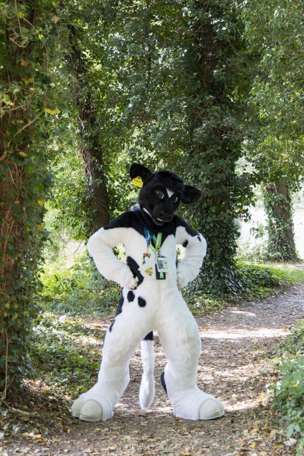 ConFuzzled 2025, Outdoor photos