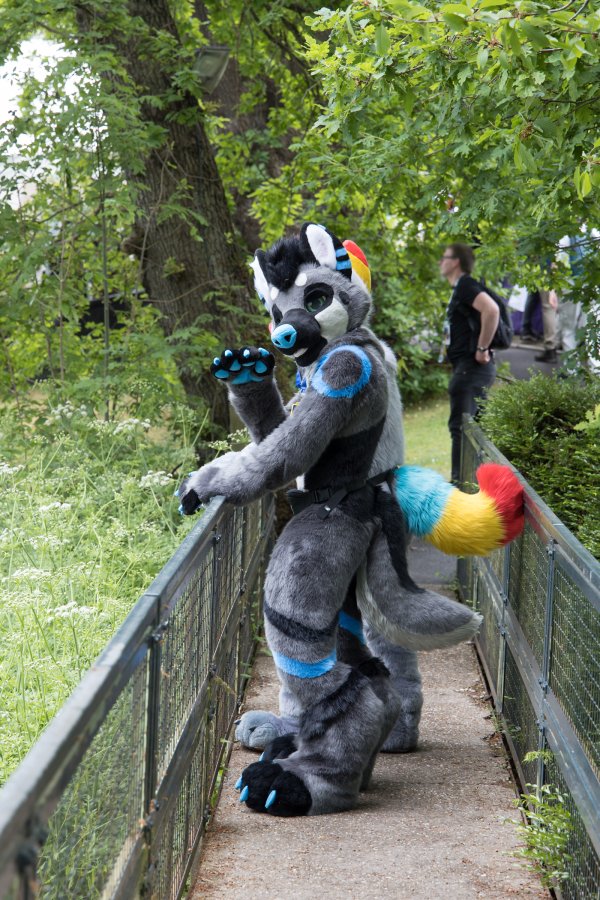 ConFuzzled 2025, Outdoor photos