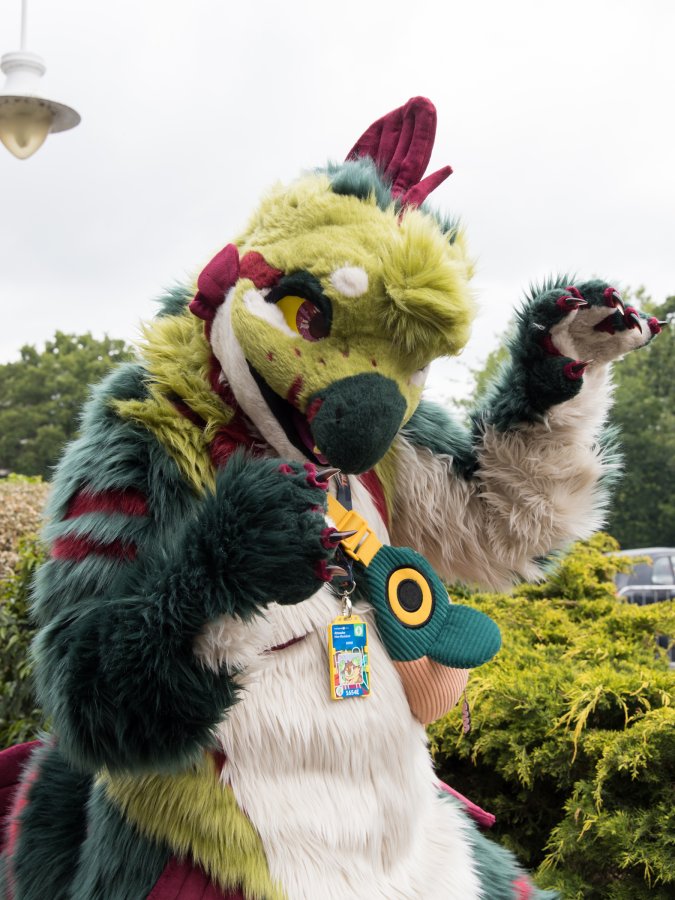 ConFuzzled 2025, Outdoor photos