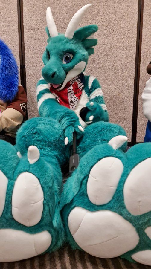 ConFuzzled 2025, Fursuits