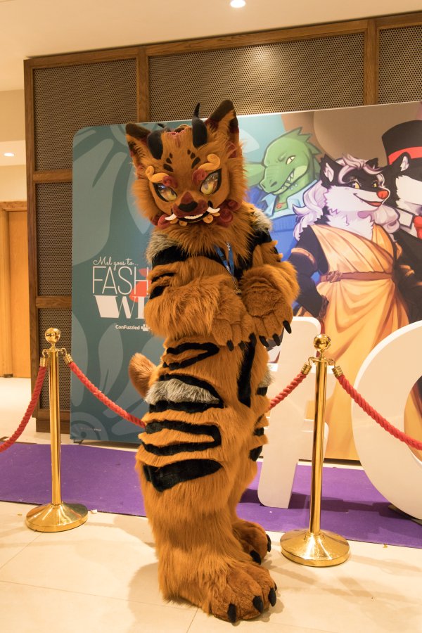 ConFuzzled 2025, Fursuits