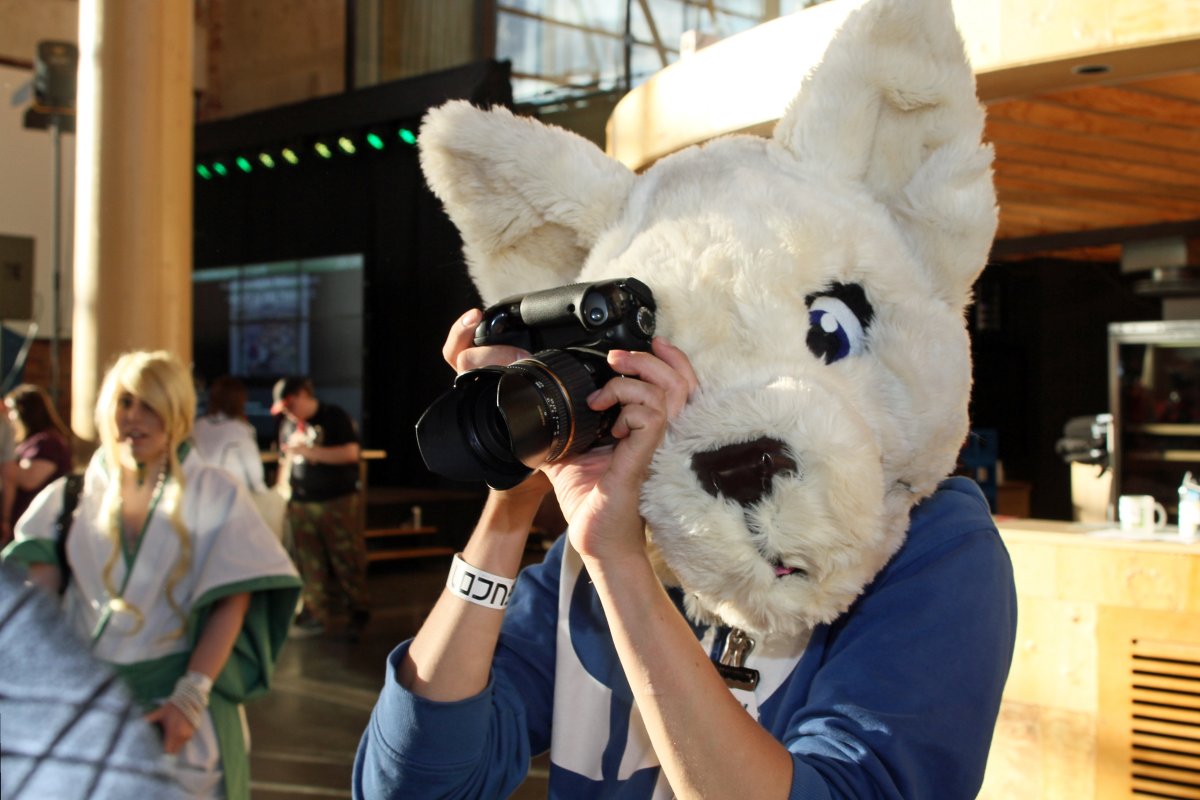 Desucon 2012, Inside