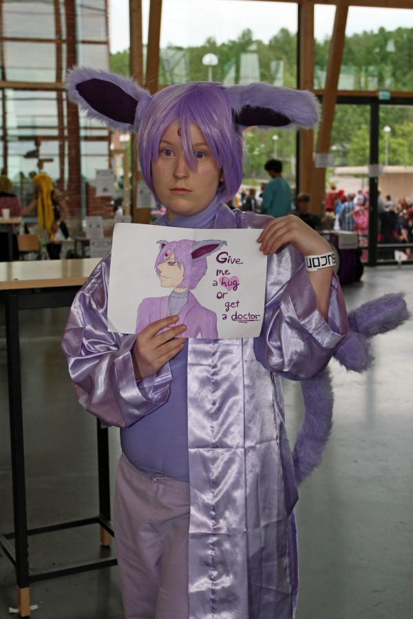 Desucon 2012, Inside