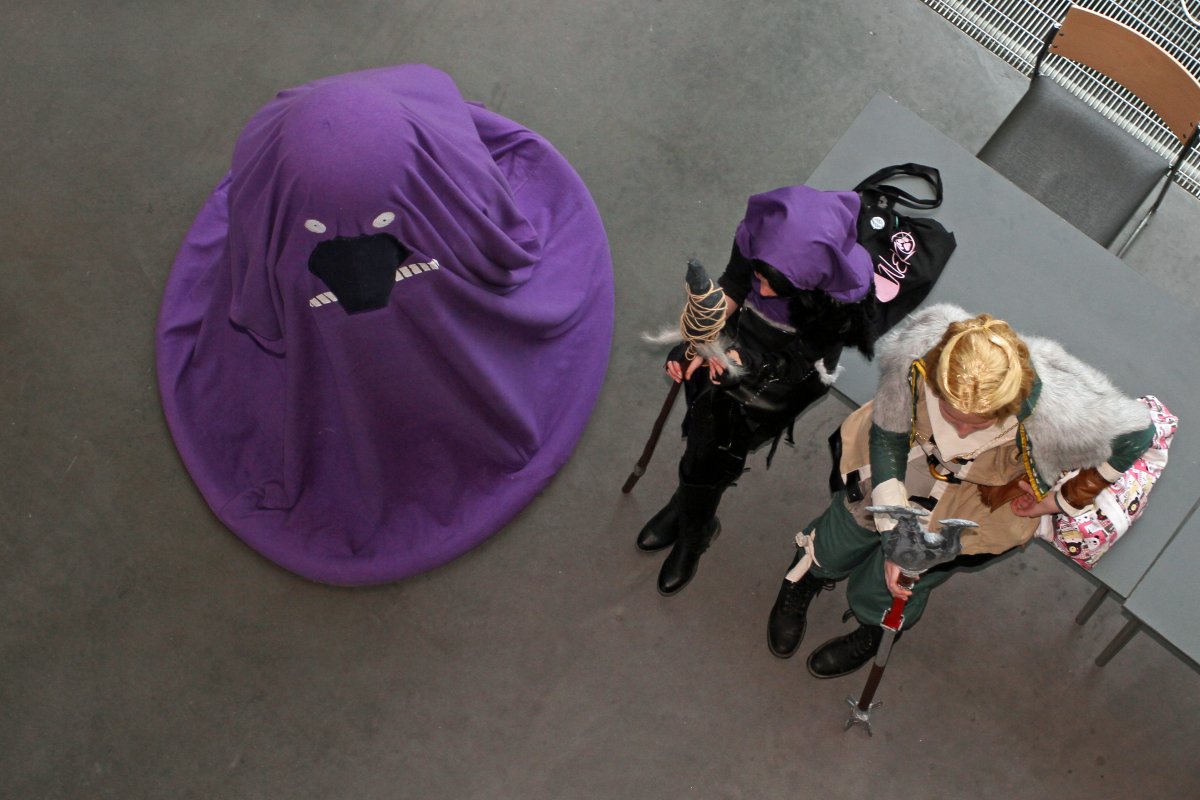 Desucon 2012, Inside